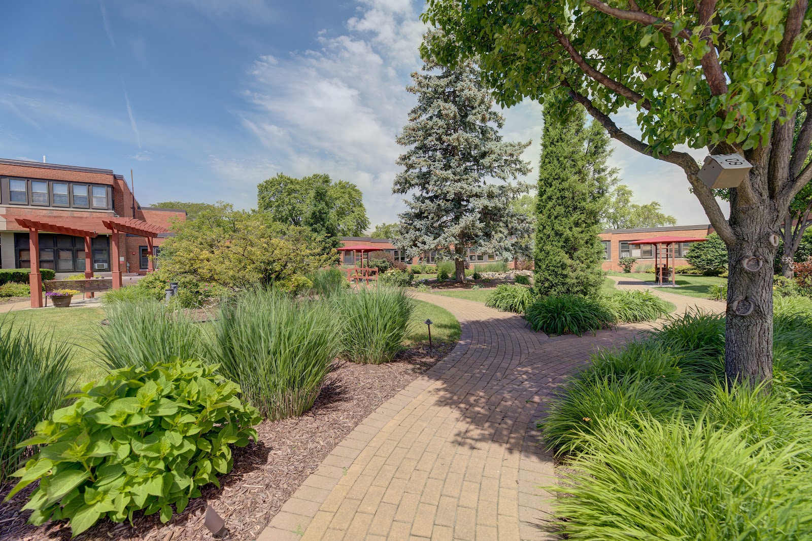 VMP Healthcare and Community Living