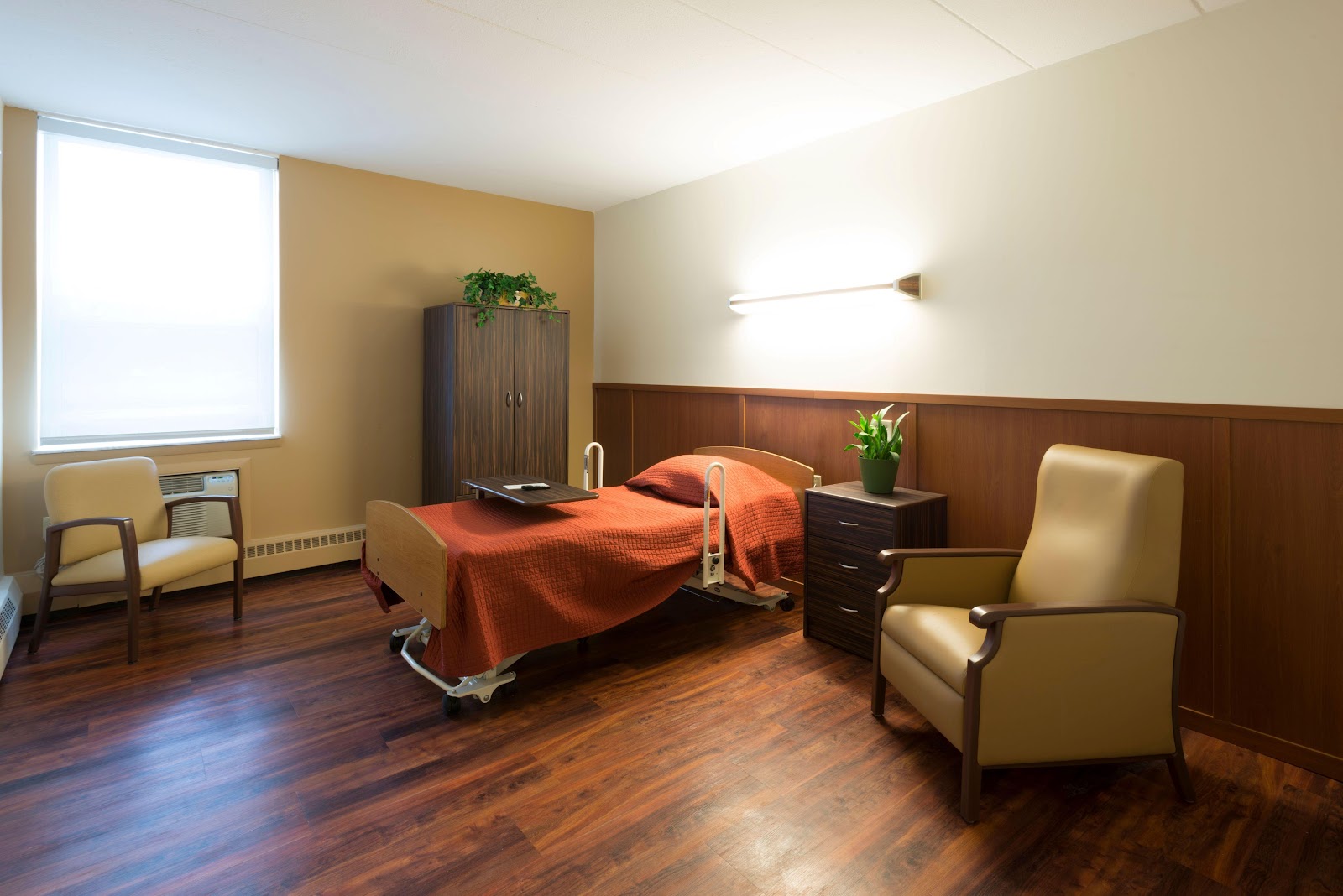 Diplomat Healthcare