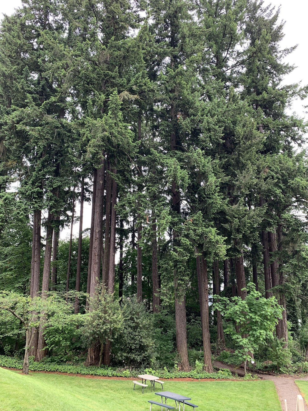 Homewoods On the Willamette