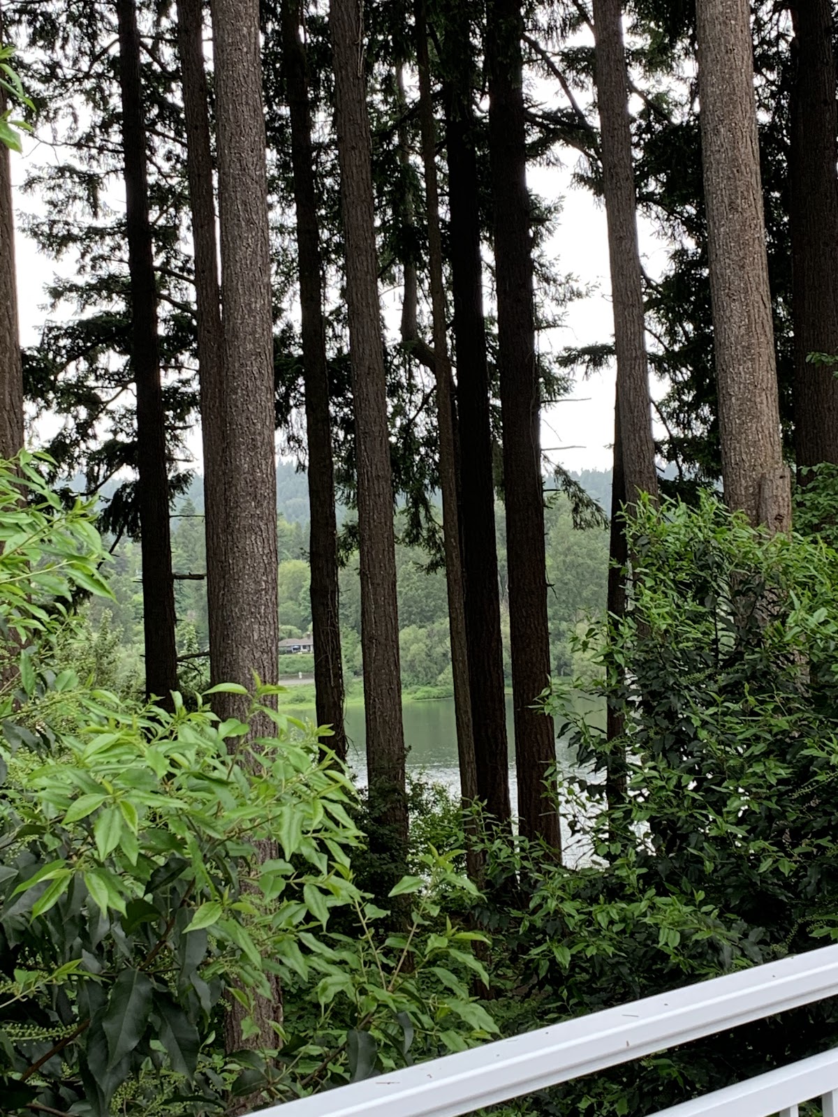 Homewoods On the Willamette