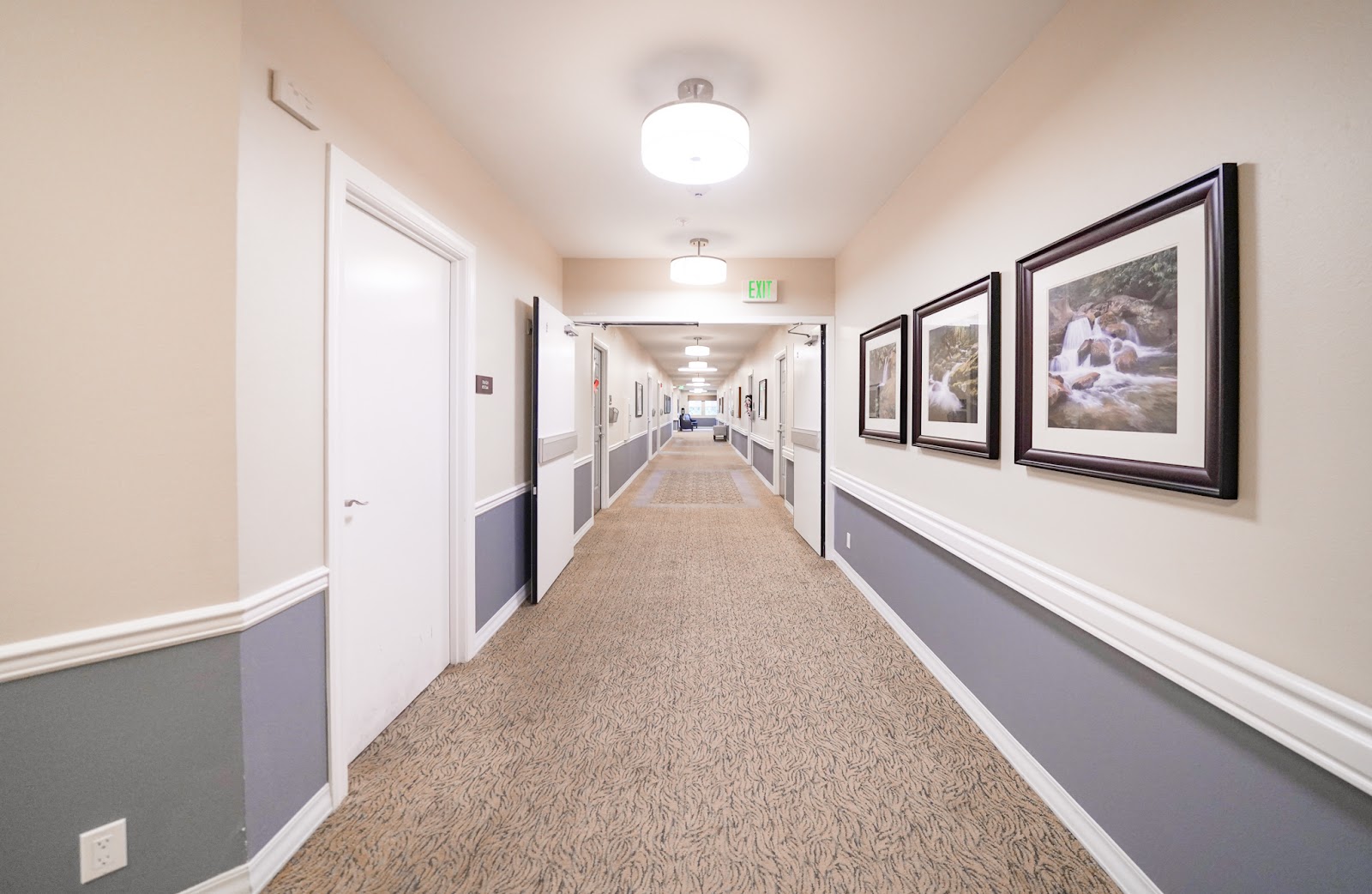 Overlake Terrace Assisted & Senior Living