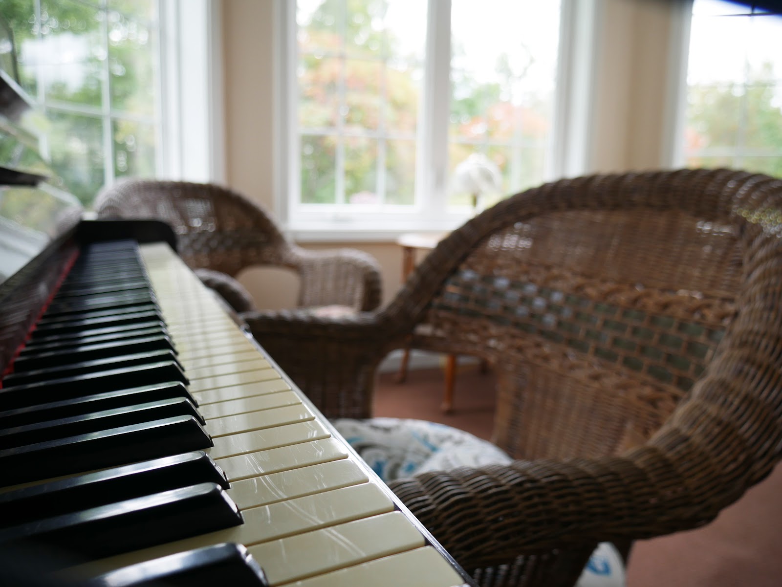 Park Terrace at Radisson