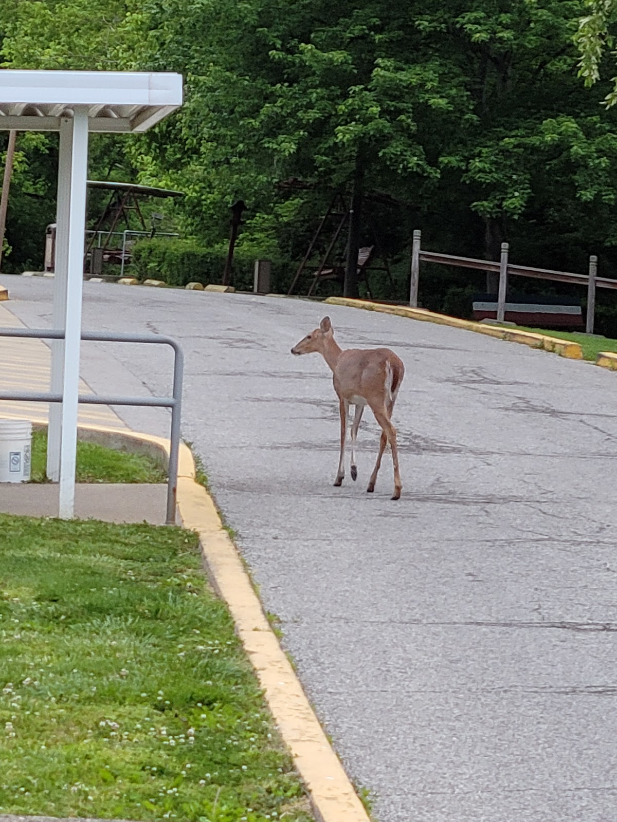West Virginia Veterans Home