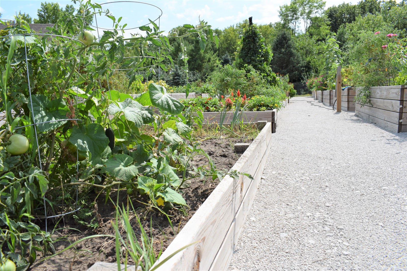 Green Hills Community