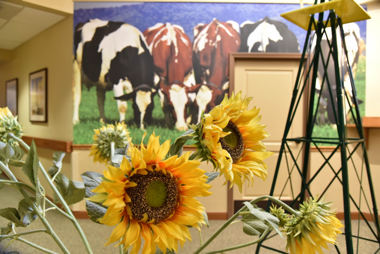 Quail Park Memory Care Residences of Visalia
