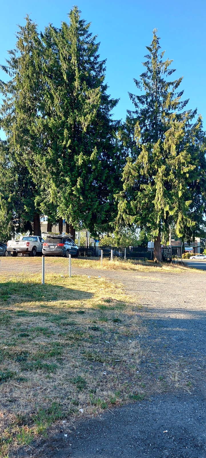 Linwood Meadows Care Center