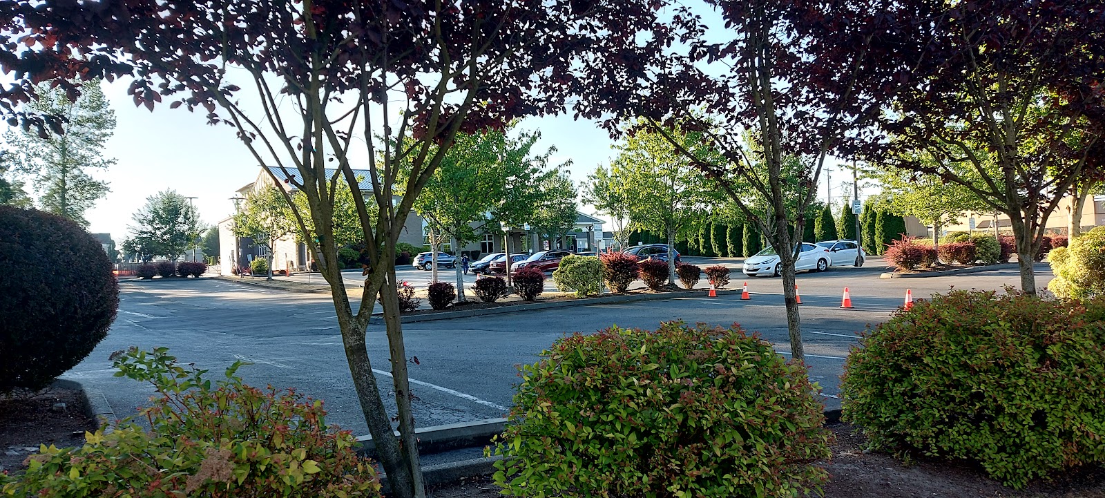 Linwood Meadows Care Center
