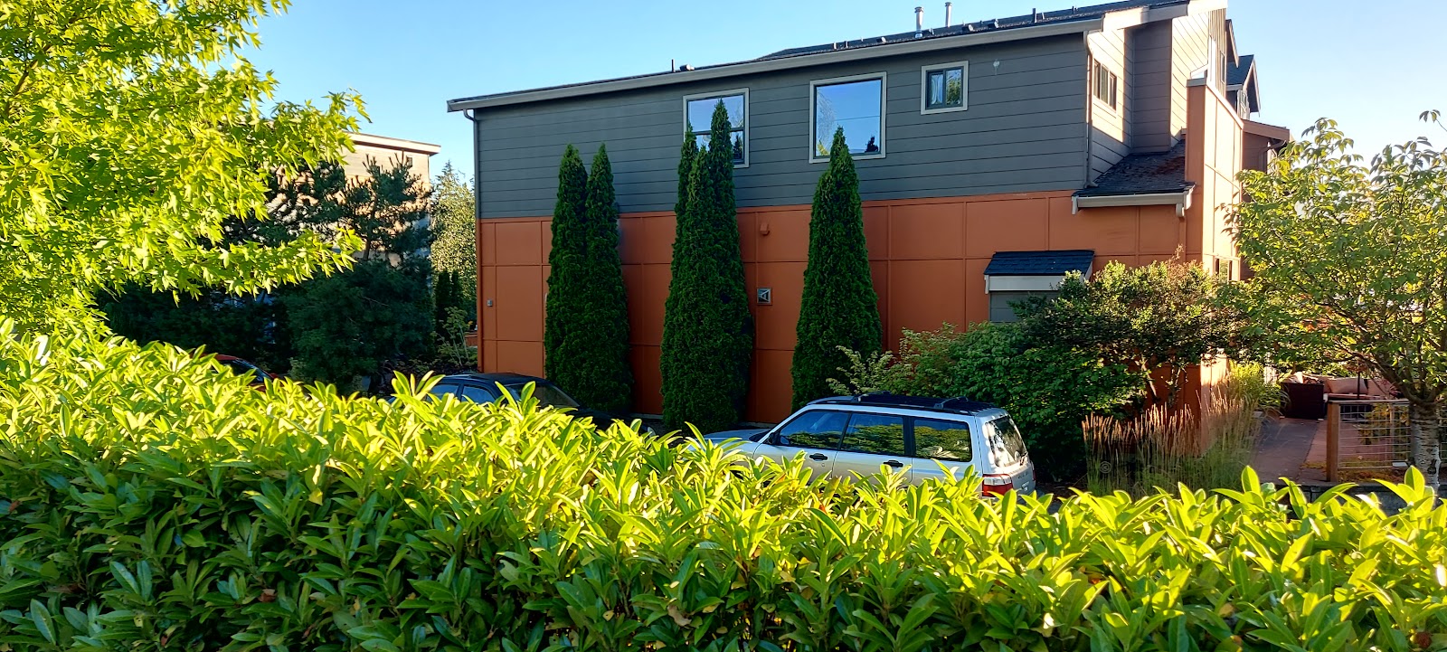Linwood Meadows Care Center