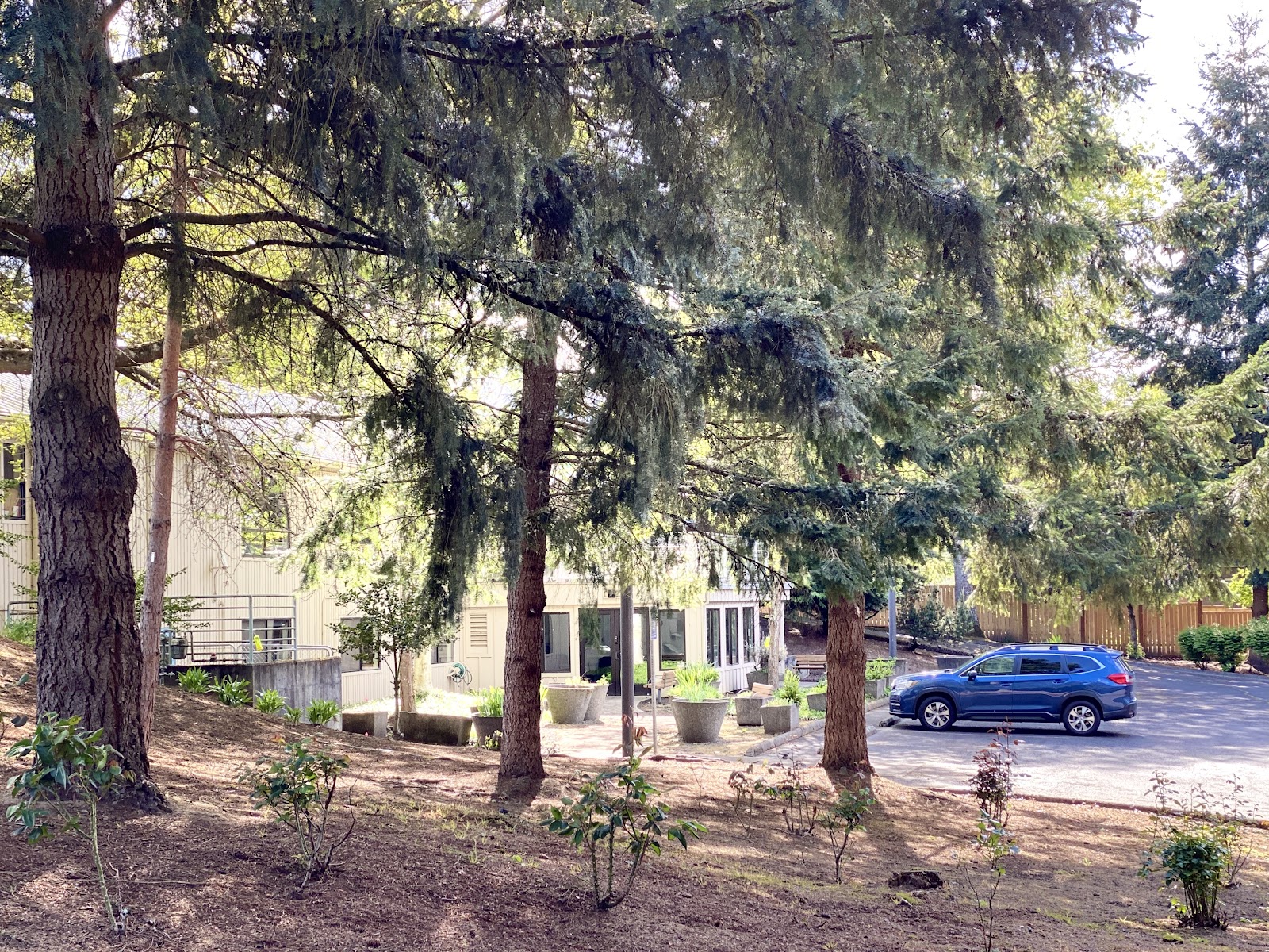 Tigard Senior Center