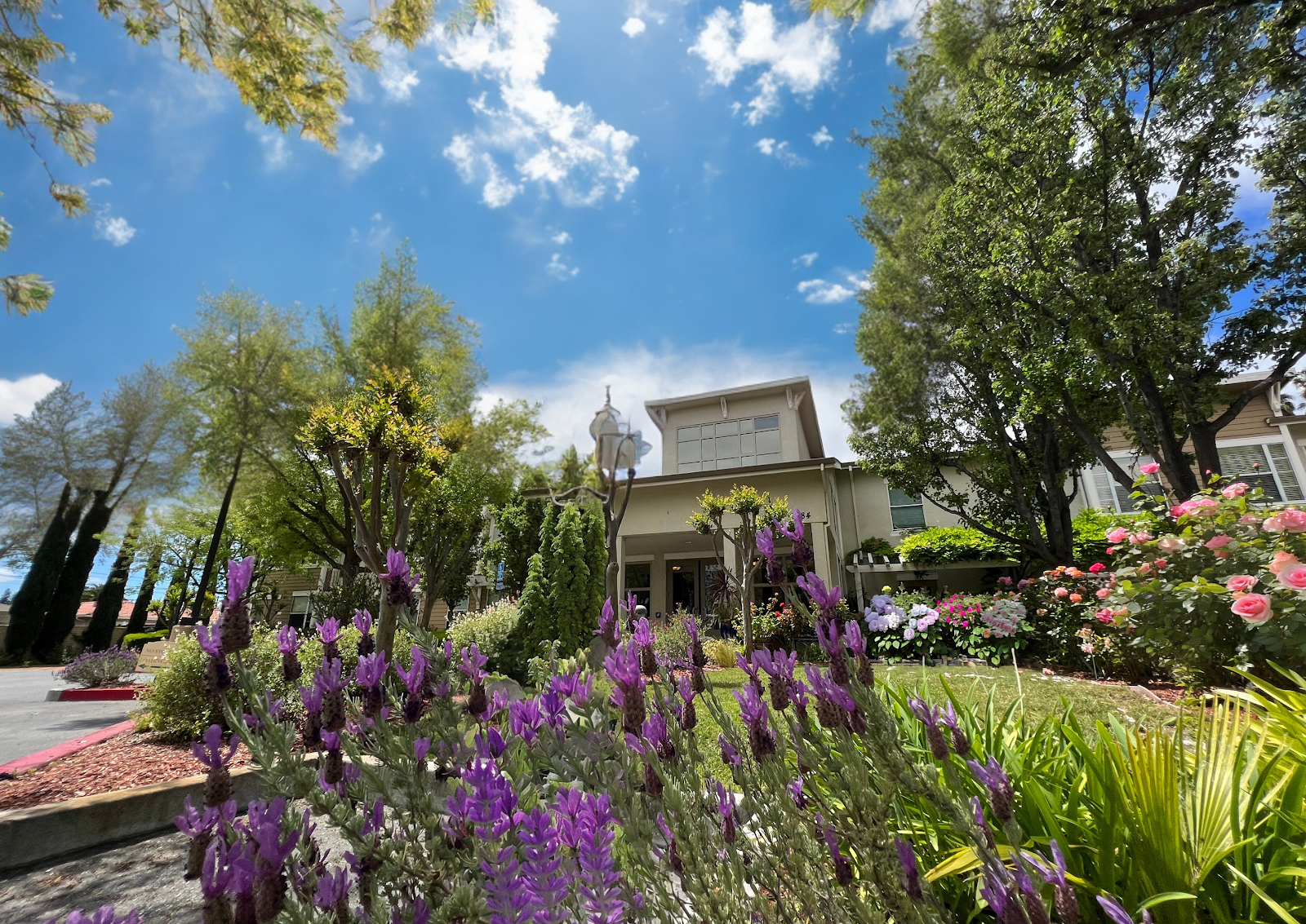 Pacific Gardens