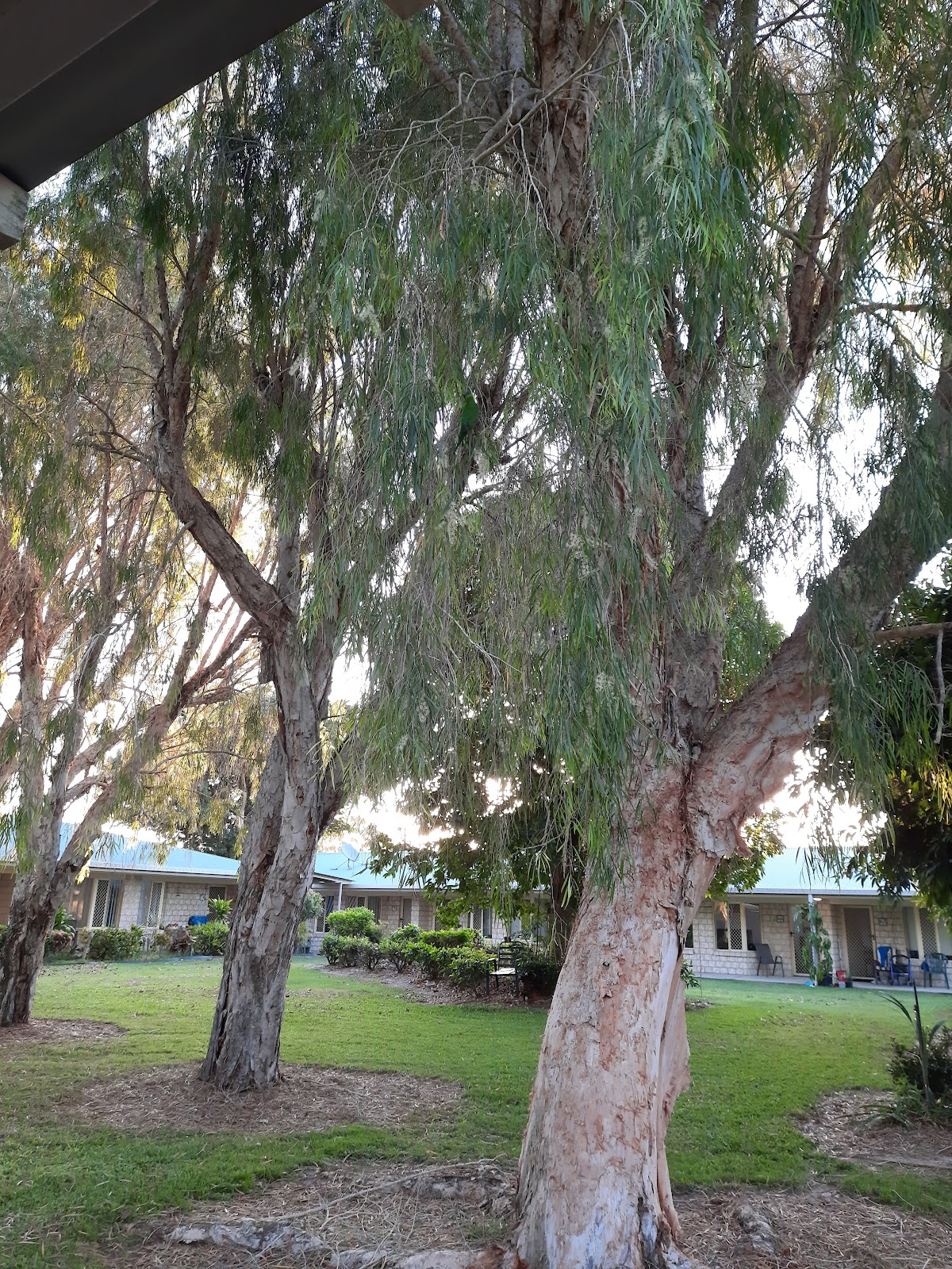 Eureka Cascade Gardens Mackay