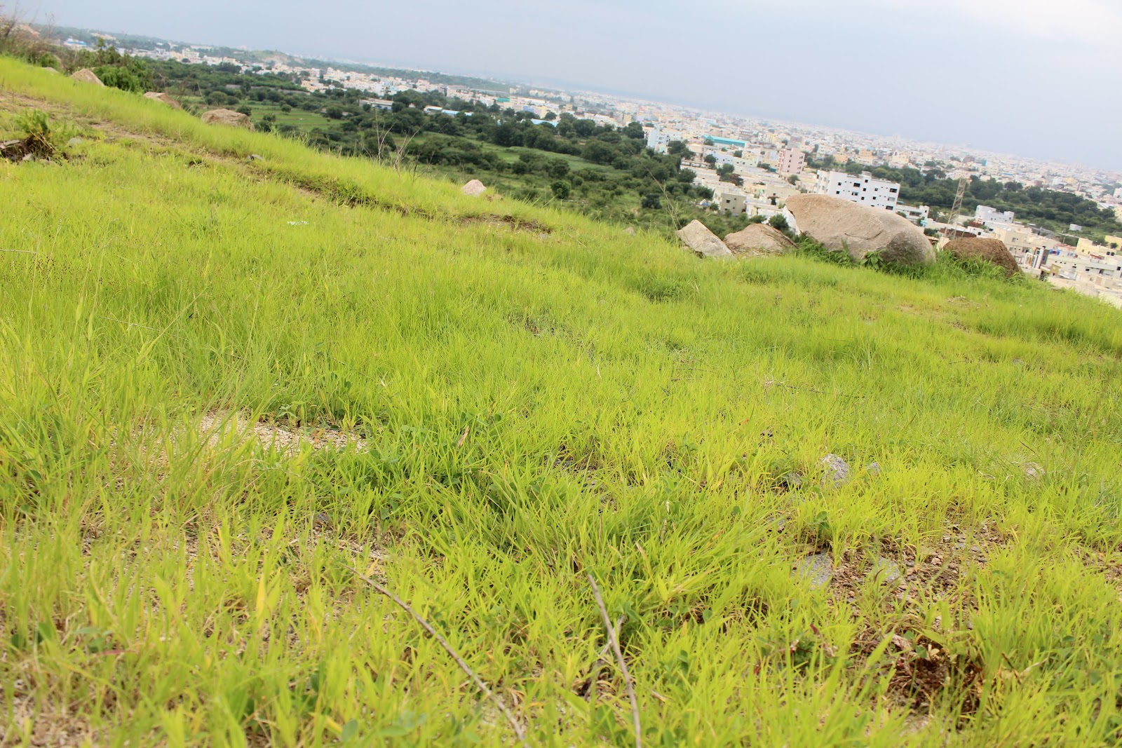 Sri Sai Balaji Homes