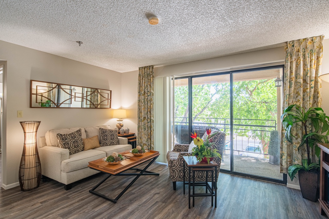 Palazzo Senior Apartments - 55+ Active Adult Living