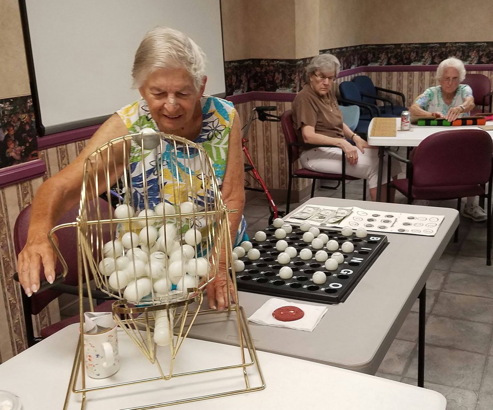 Palazzo Senior Apartments - 55+ Active Adult Living