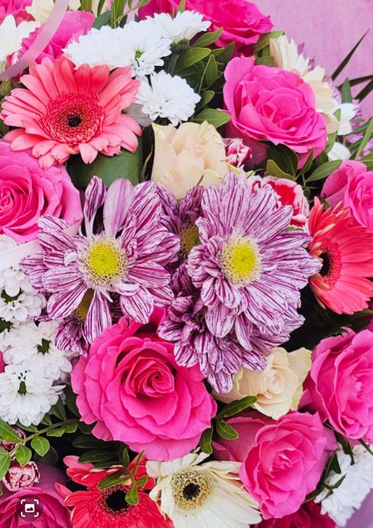 A la Fleur de Victoria | Fleuriste Frontignan