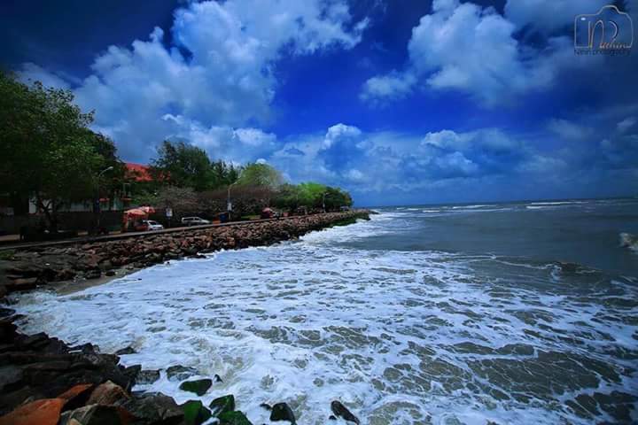 HARMONY HAVEN