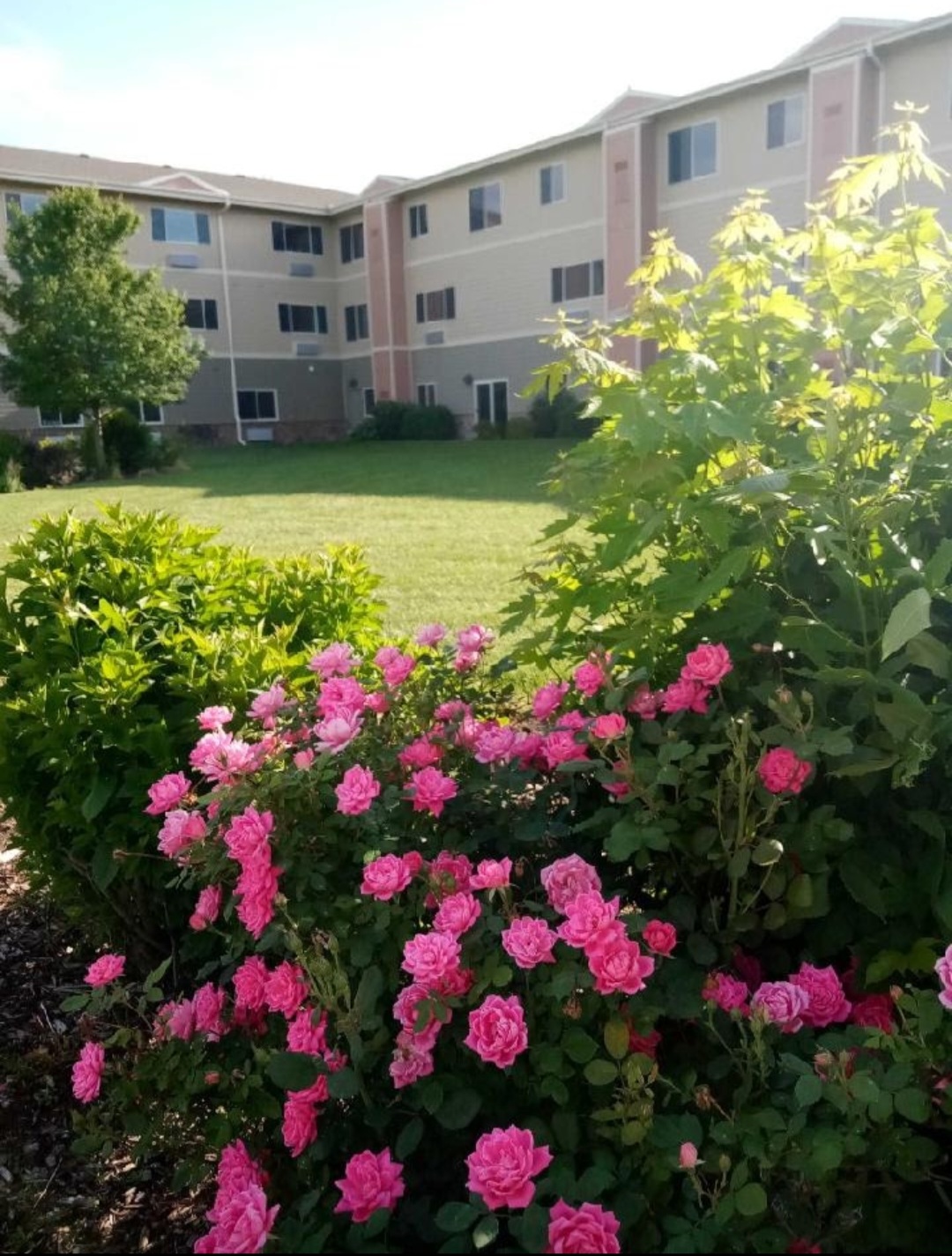 Oxbow Living Center