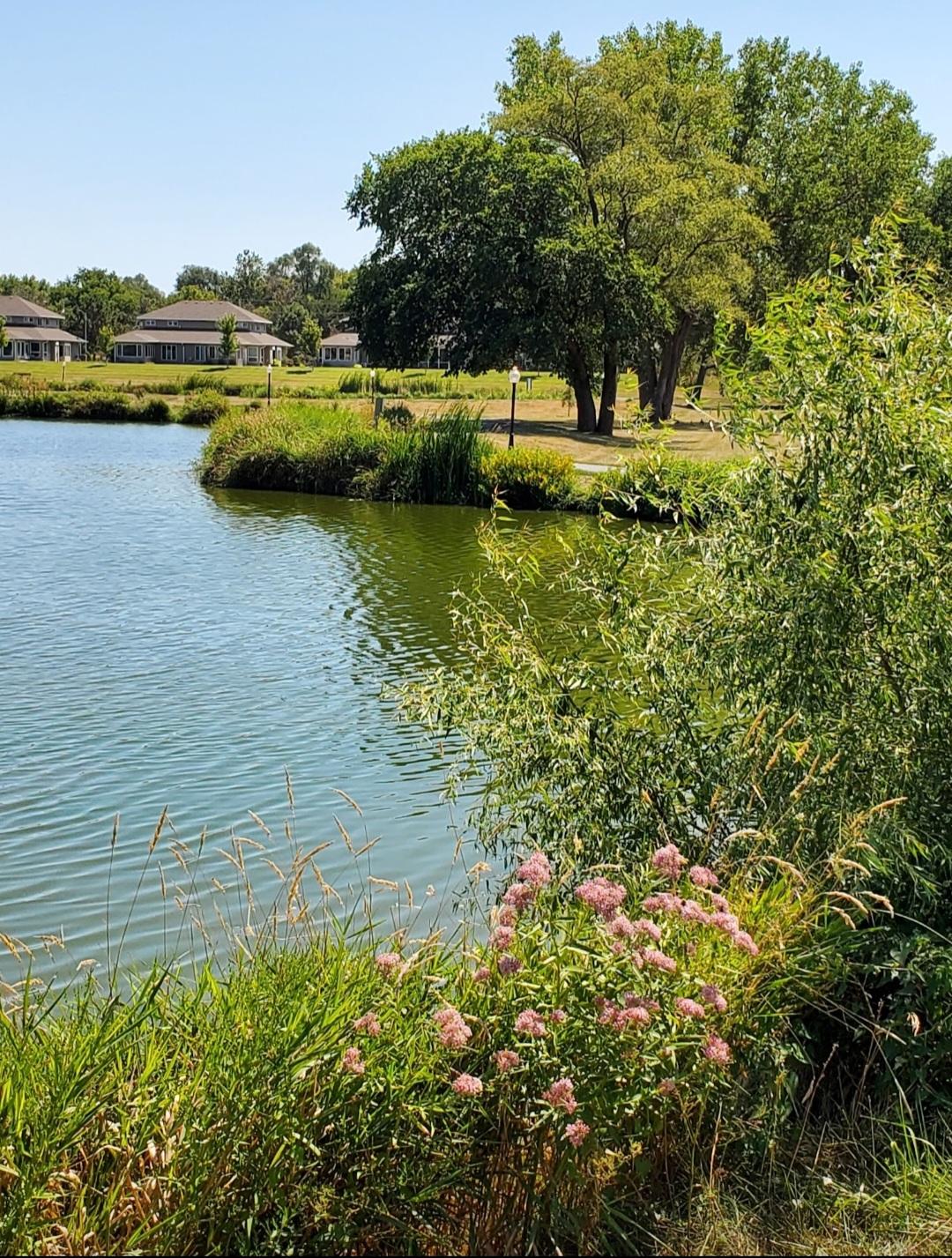 Oxbow Living Center