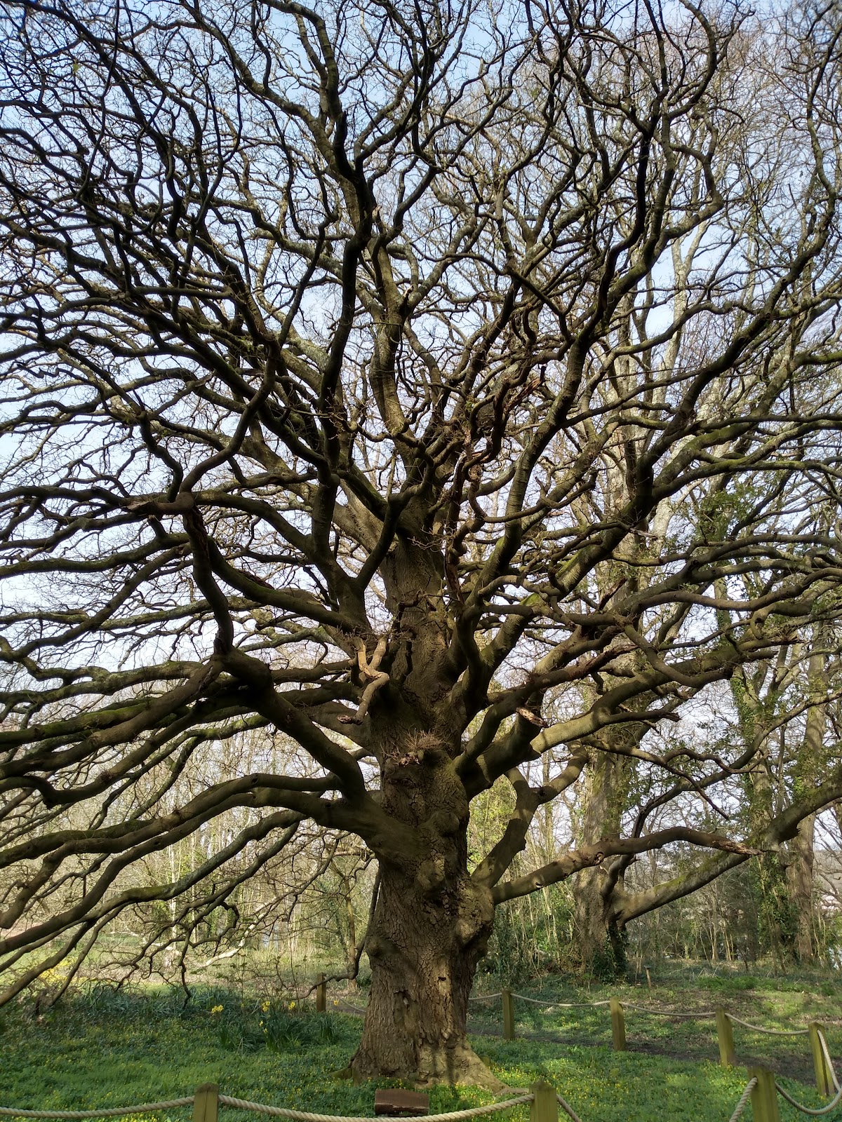 Treborth Botanic Garden