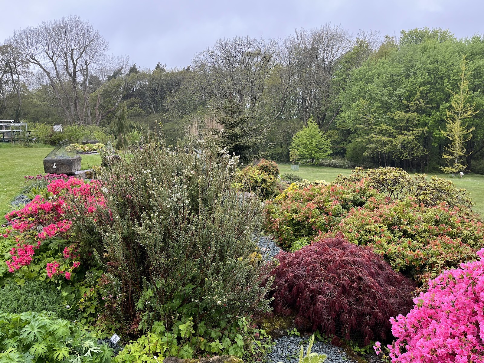 Treborth Botanic Garden