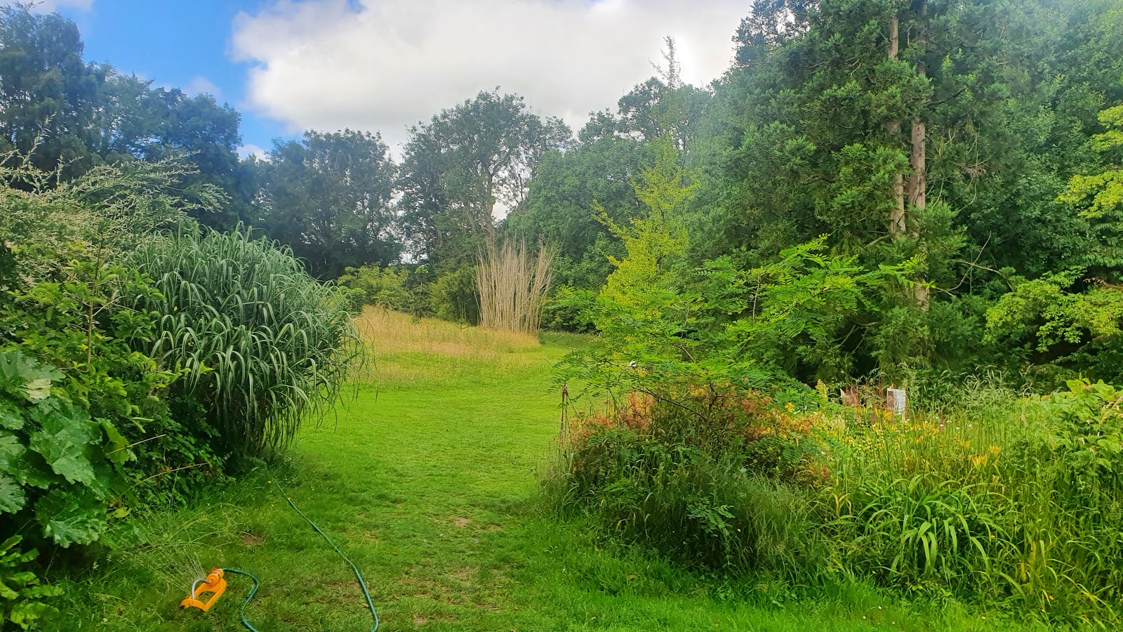 Treborth Botanic Garden
