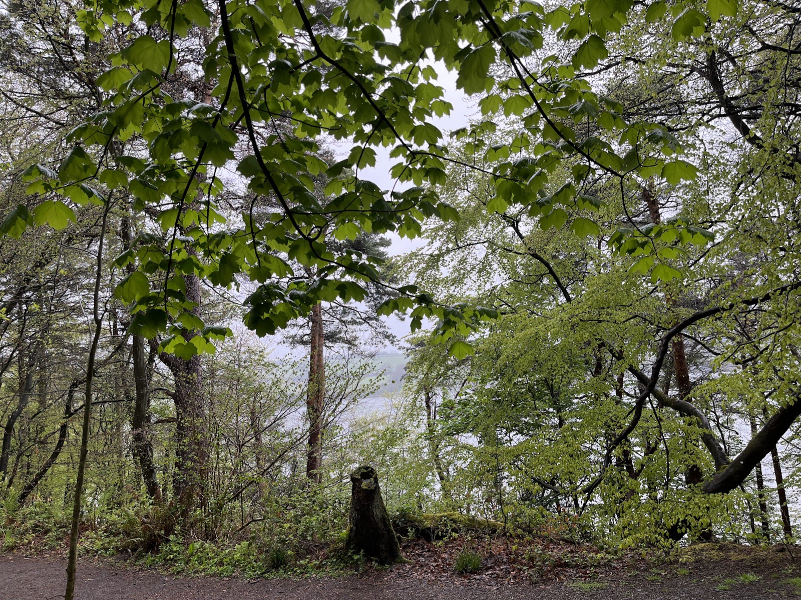 Treborth Botanic Garden