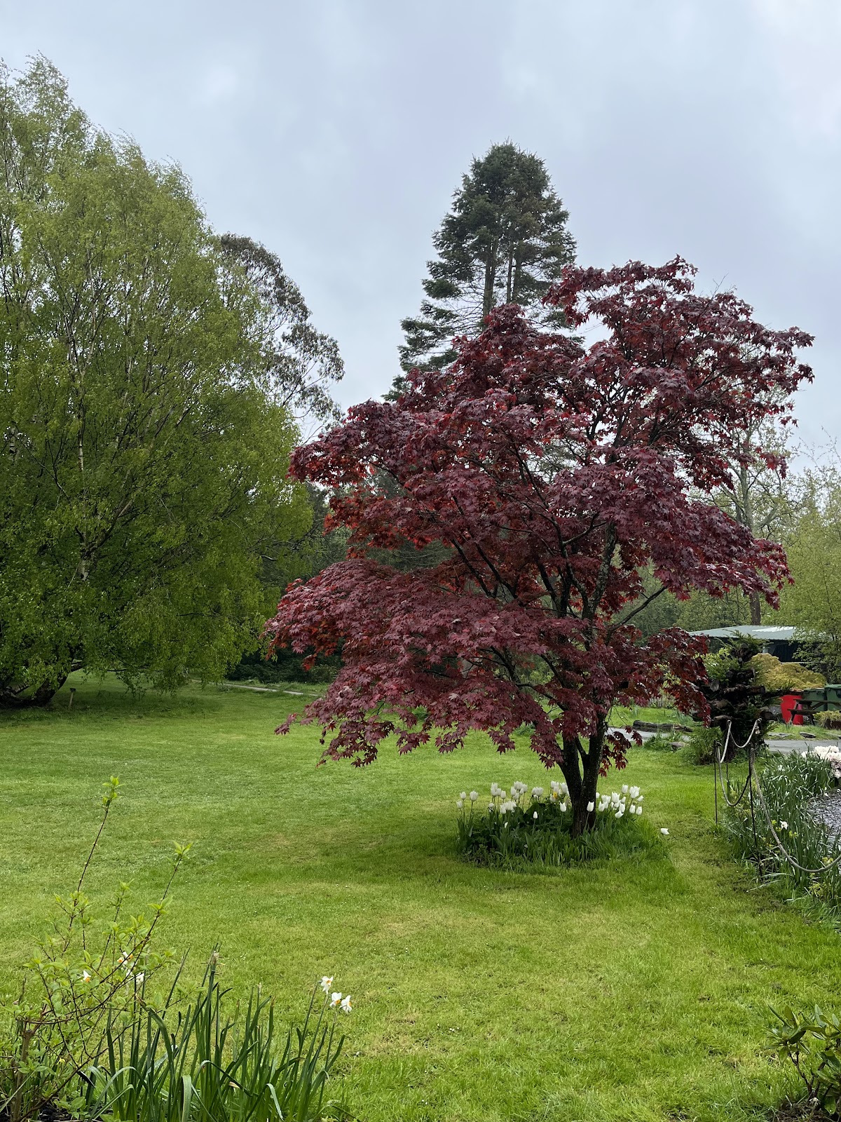Treborth Botanic Garden