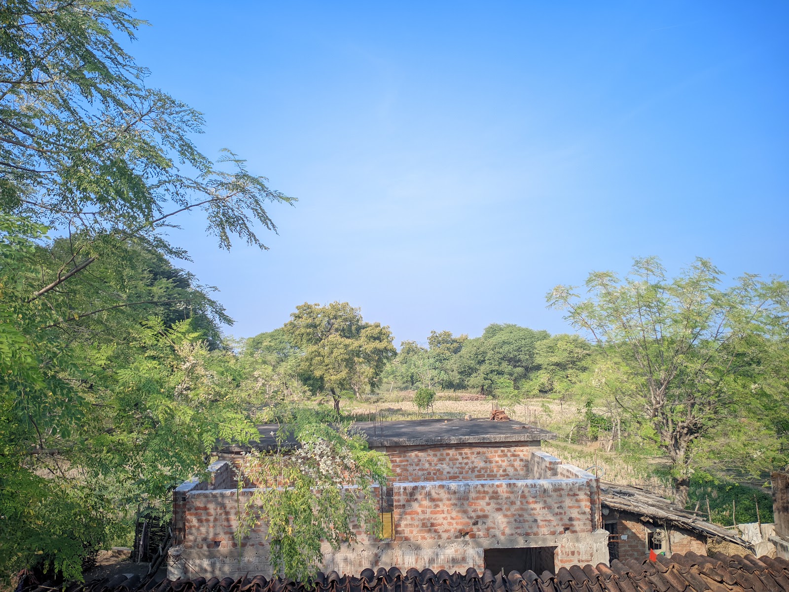 K kandakhal