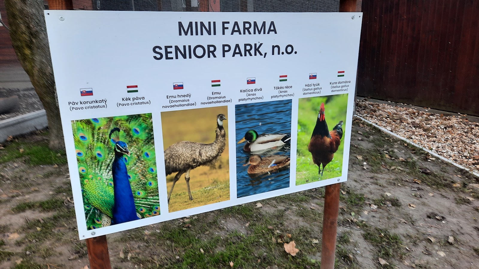 Senior Park, n.o.