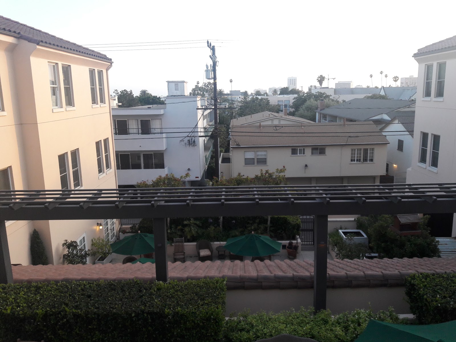 Ivy Park at Santa Monica