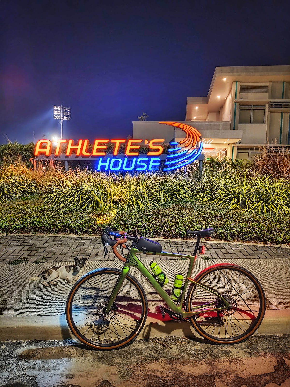 Ayala Vermosa Sports Hub