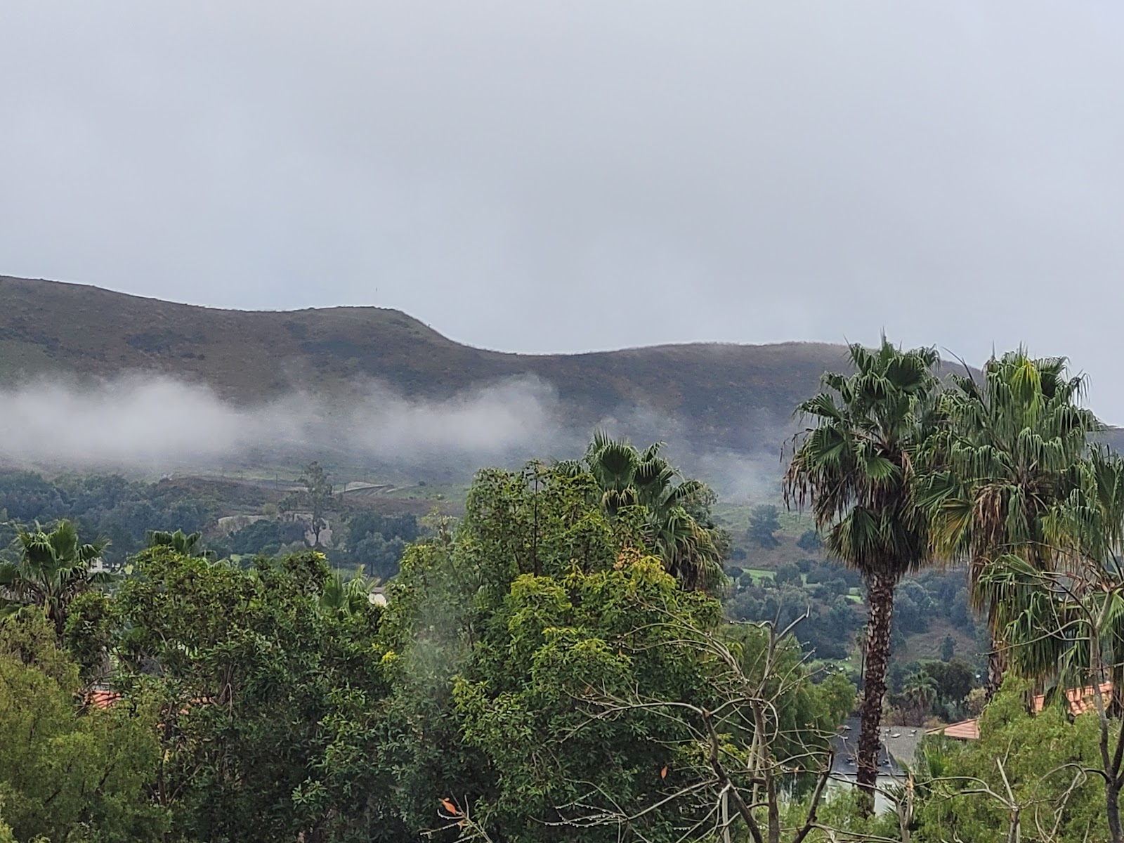 San Juan Hills Healthcare Center