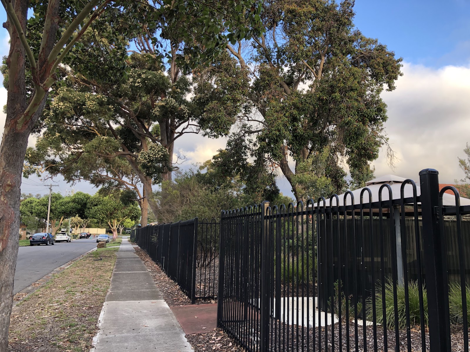 TLC Forest Lodge Residential Aged Care