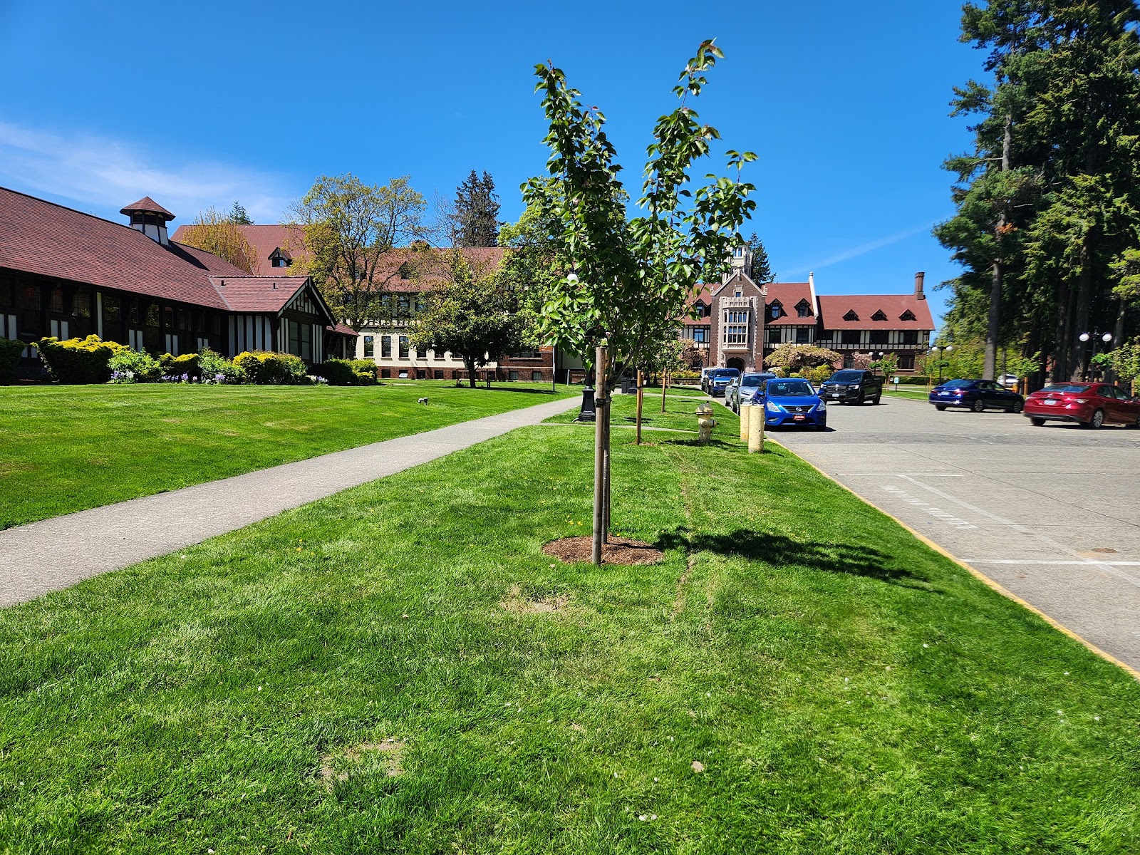 TreeOak Courtyard Assisted Living At Cristwood