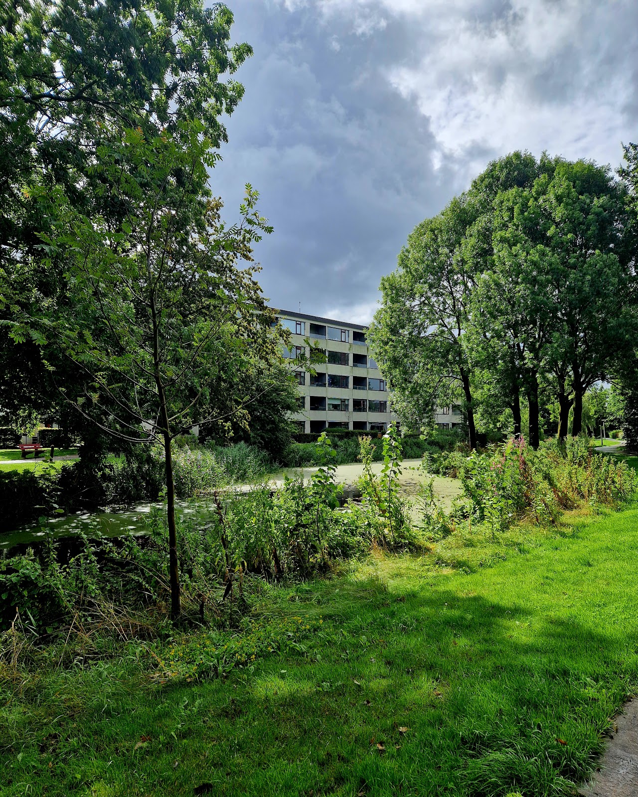 Swettehiem Wijkzorgcentrum