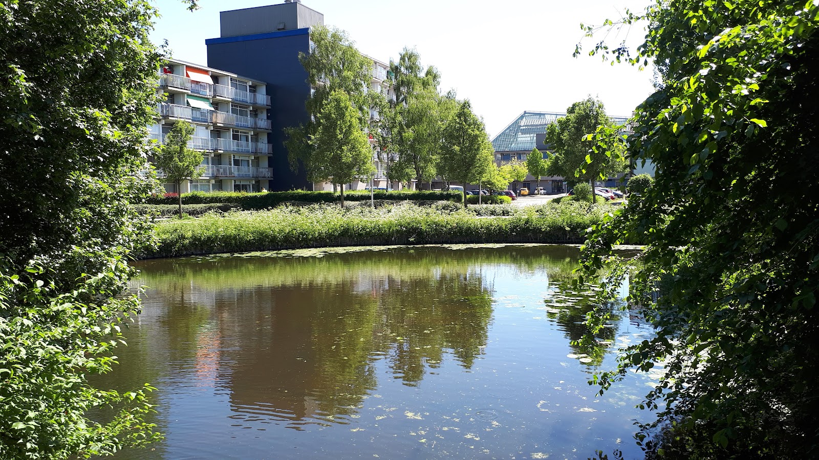 Swettehiem Wijkzorgcentrum