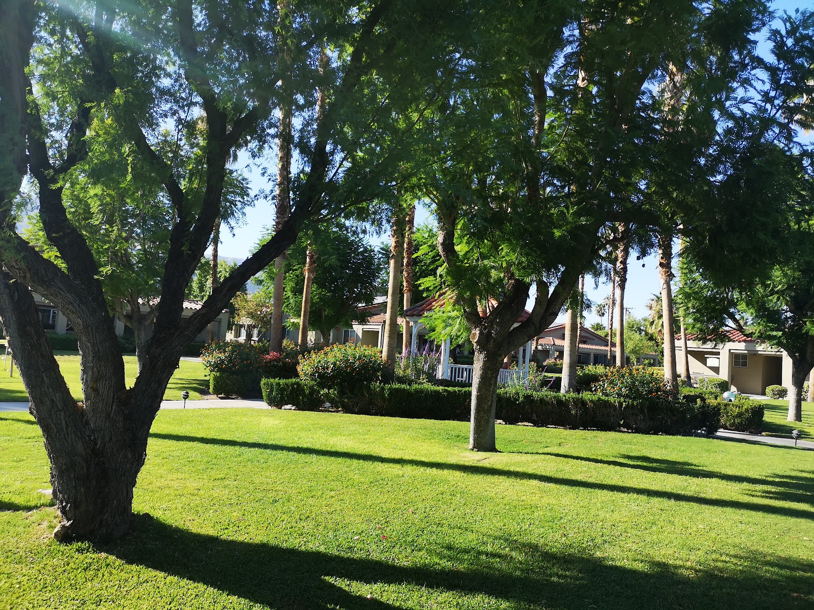 Cottages at Palm Springs