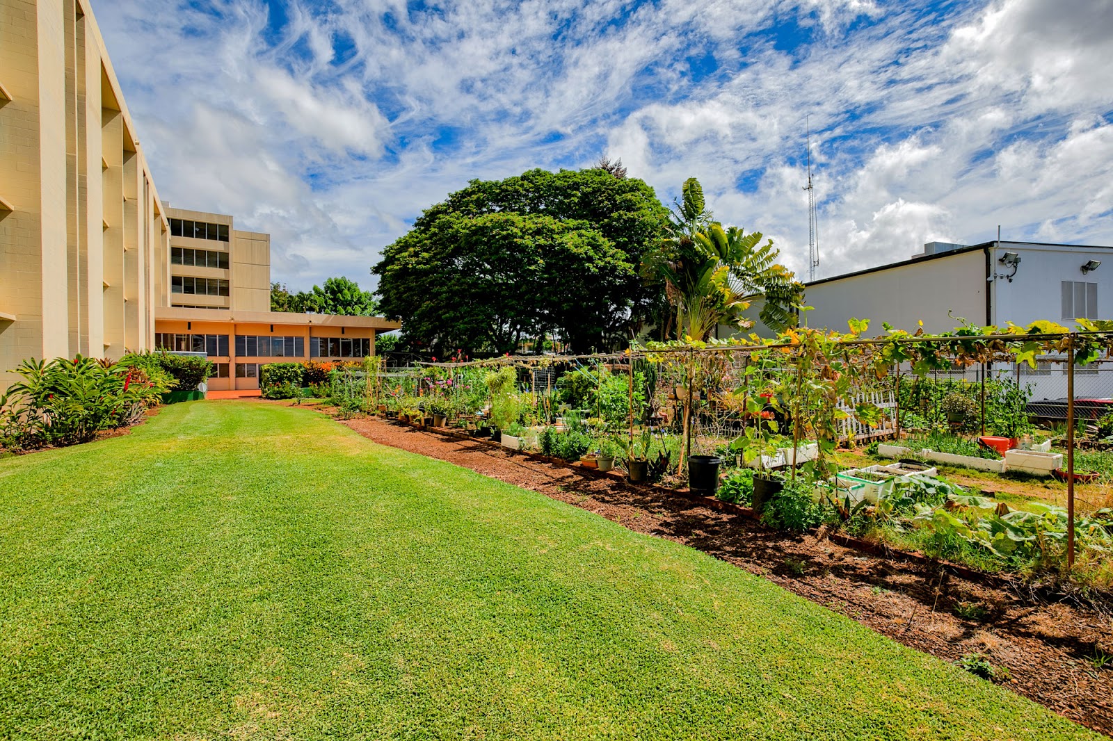 Hale O'Hauoli Apartments