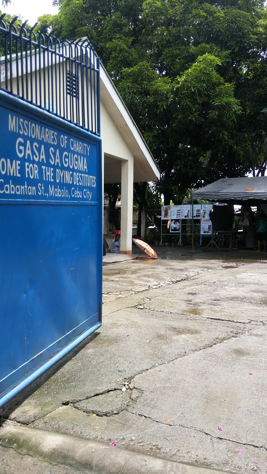 Gasa sa Gugma