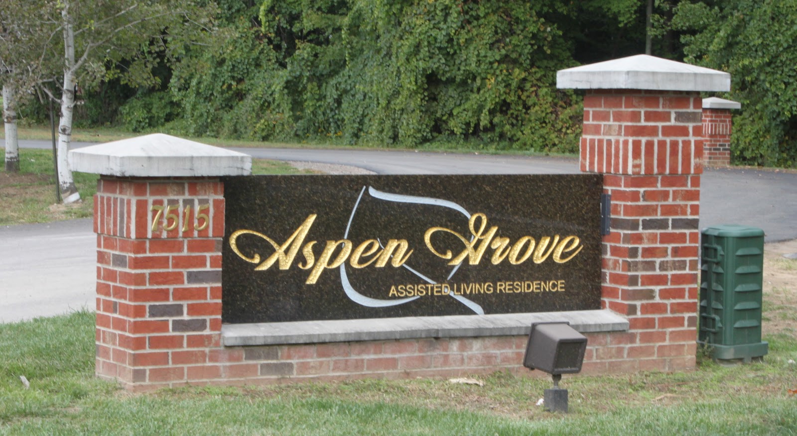 Aspen Grove