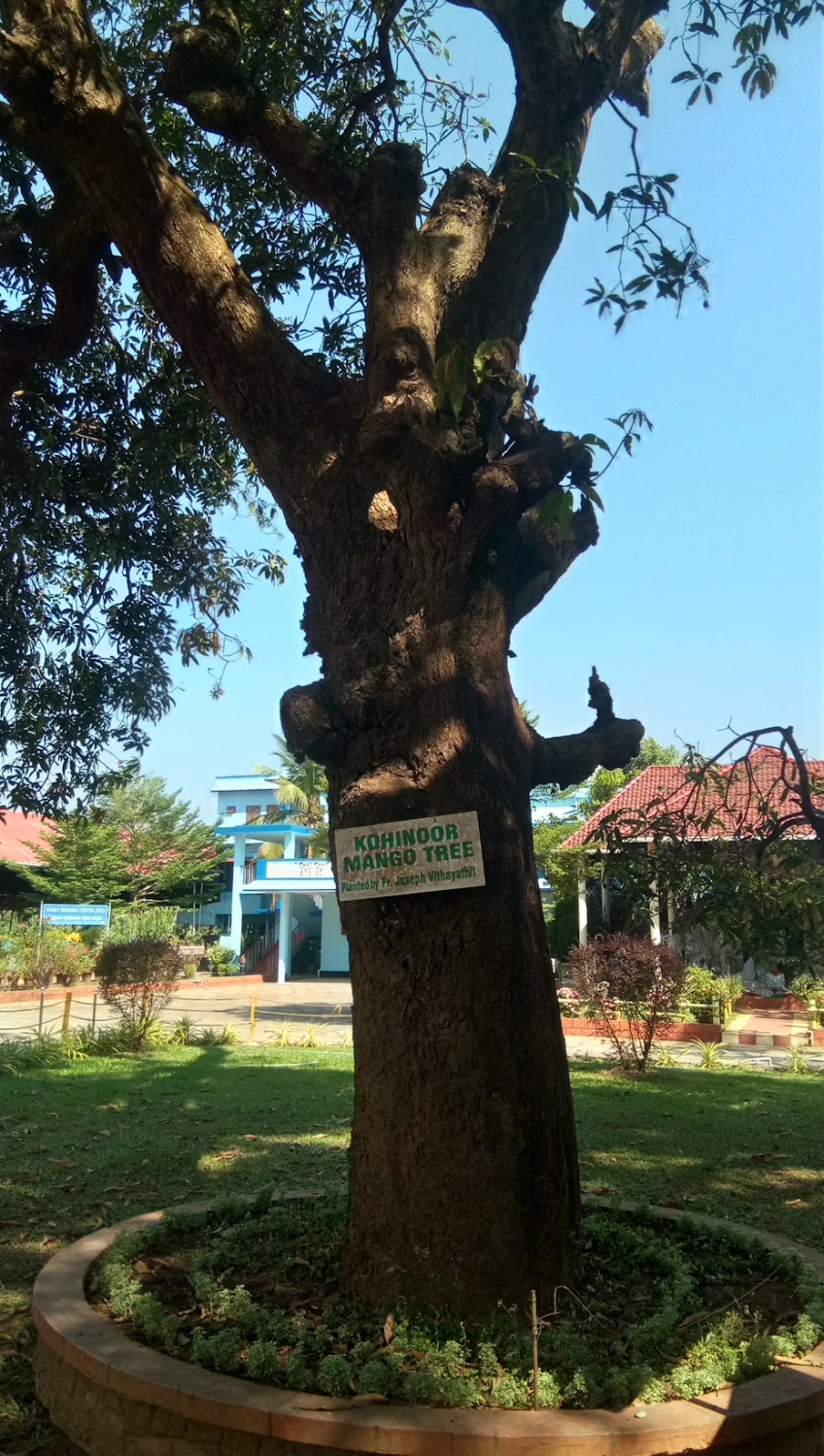 St. Mariam Thresia Pilgrim Centre