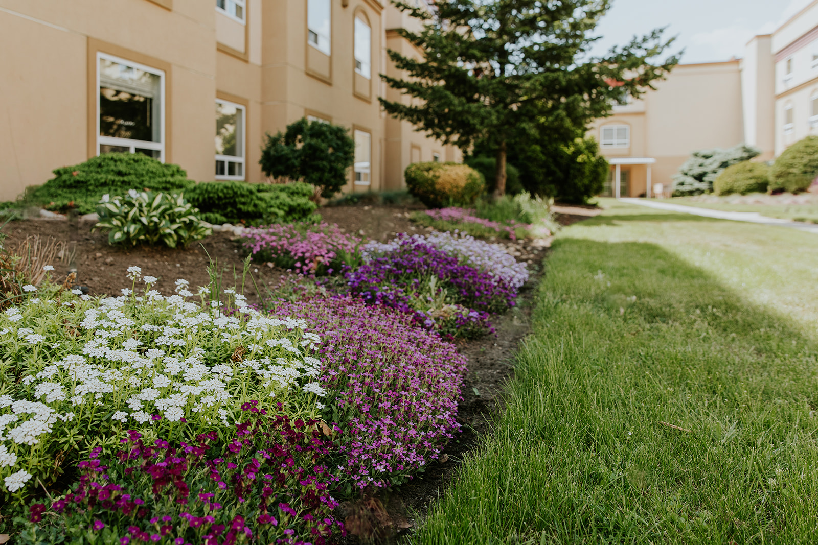 Orchard Gardens Seniors Community