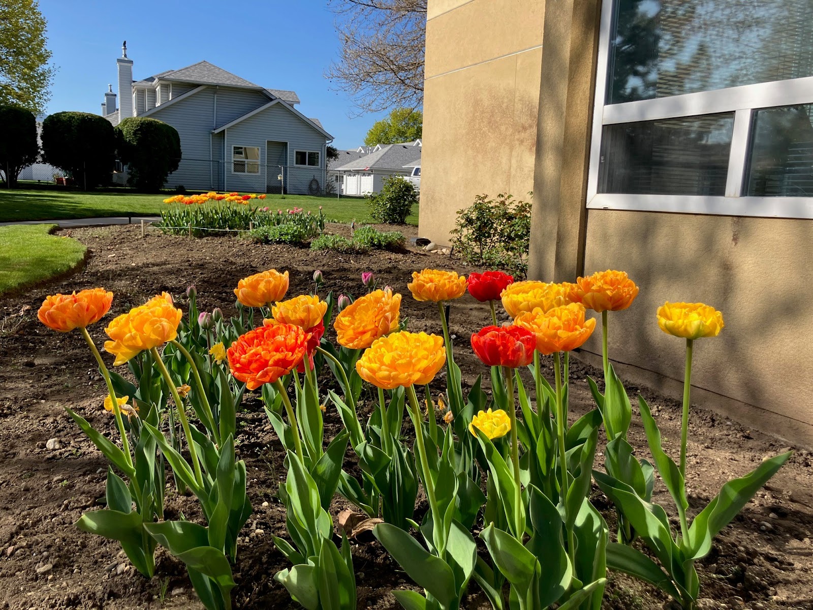 Orchard Gardens Seniors Community