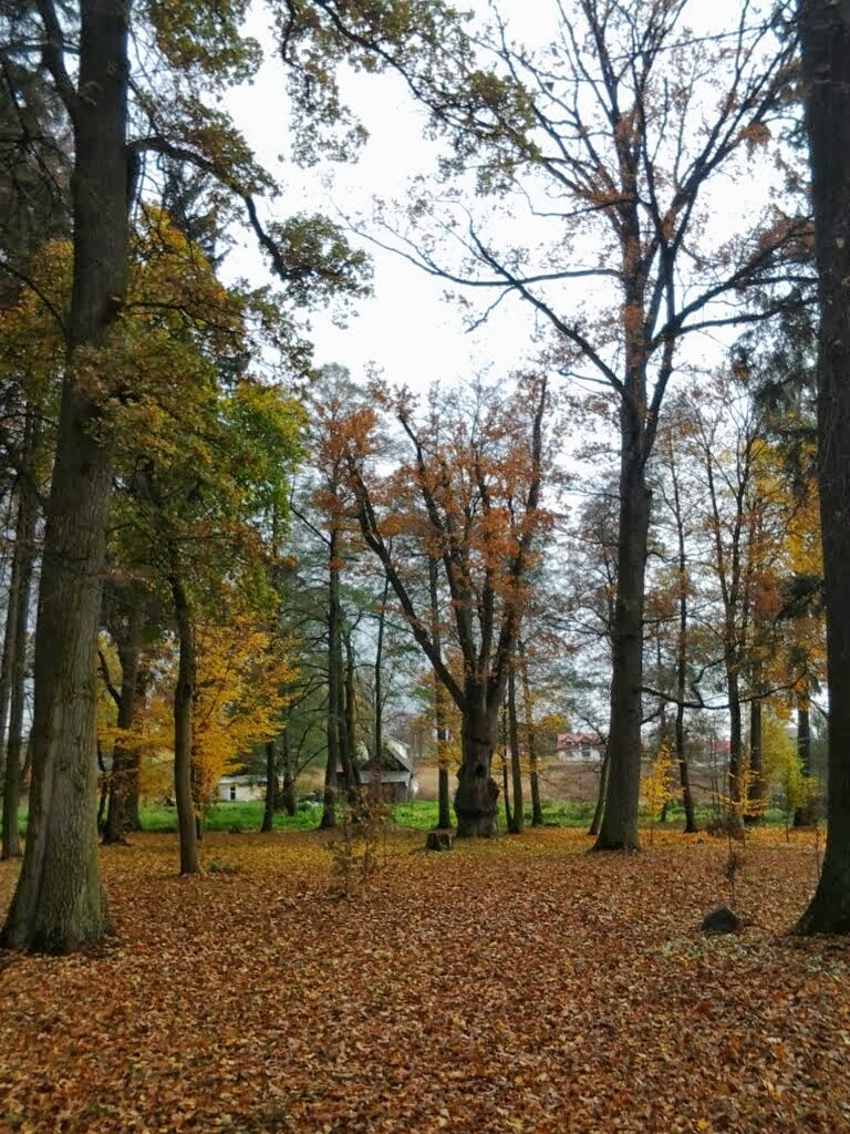 Dom Seniora "Tęczowe Wzgórze"