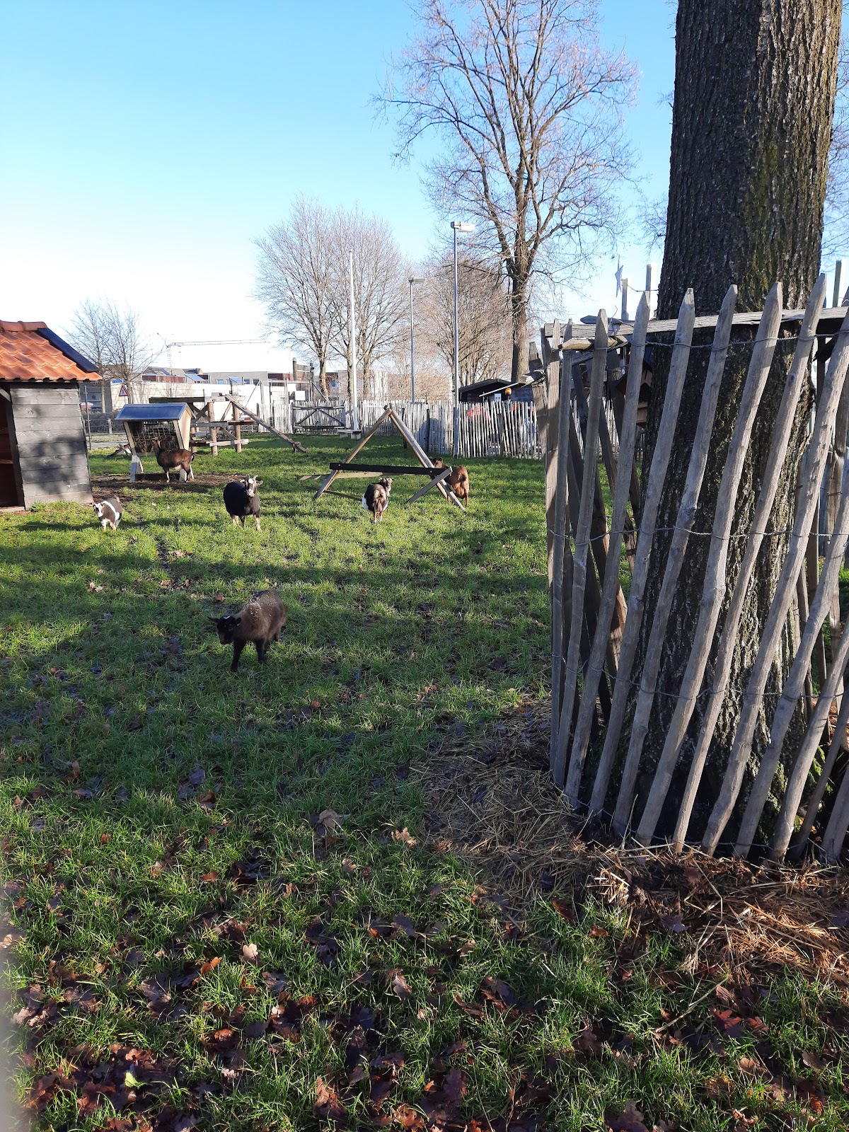 Kerkebogten, een huis van Oktober
