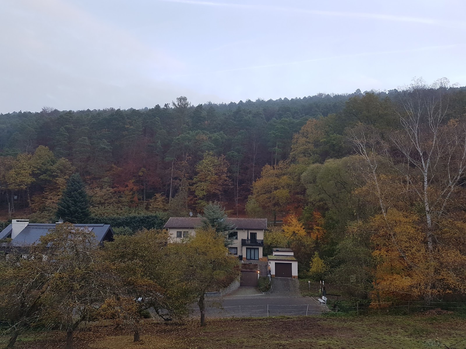 Pension Waldblick