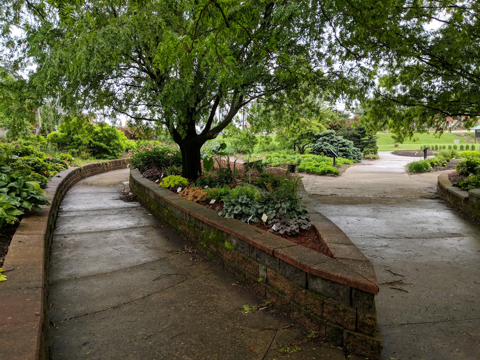 Campbell County Senior Center