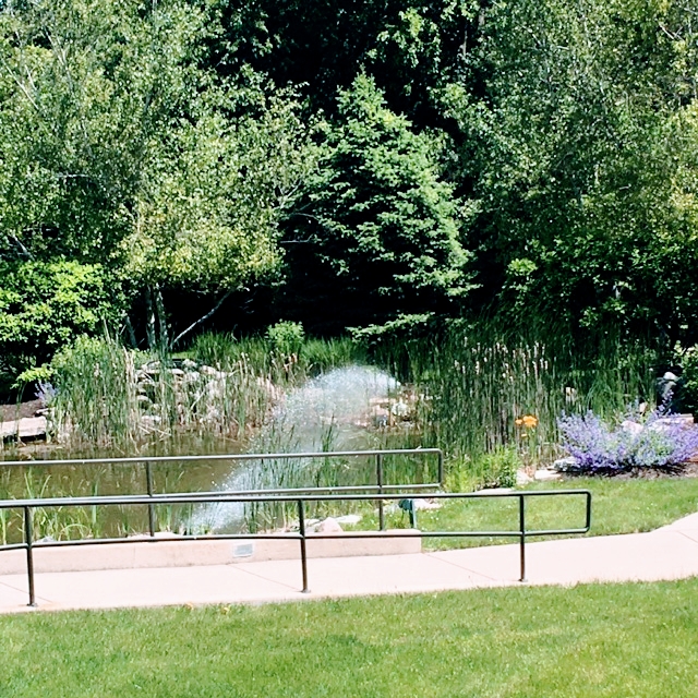 Eden Supportive Living Fox Valley