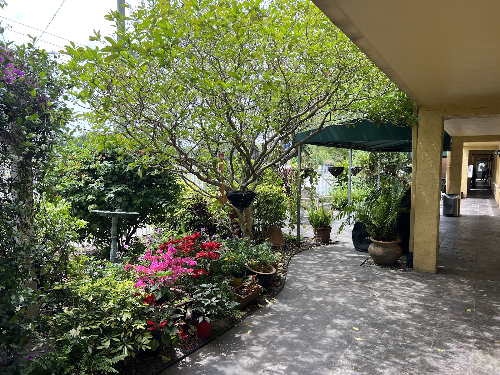 Alimar Assisted Living