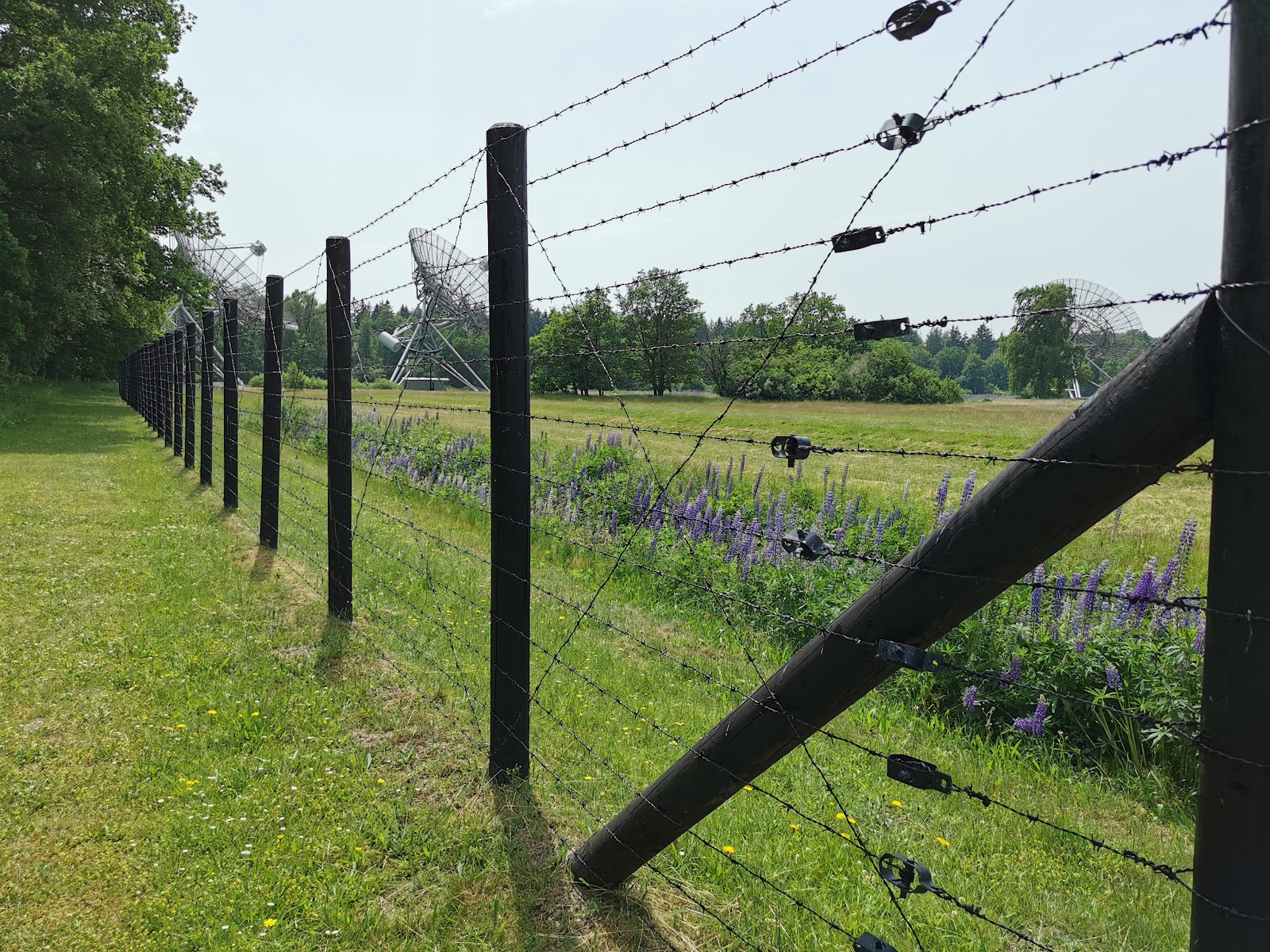 National Westerbork Memorial